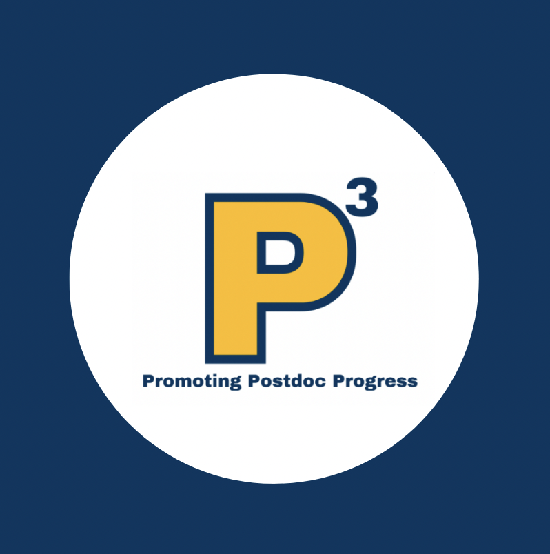 P3 logo