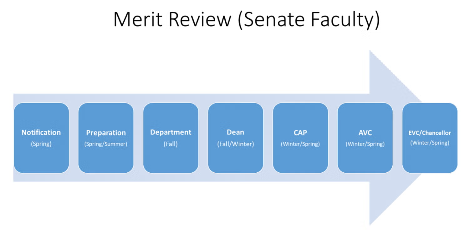Diagram of merit review process